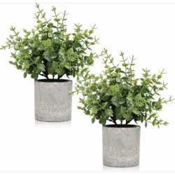 2 Packs de Plantas Artificiales