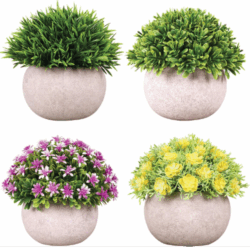 Macetas Decorativas Bonsai