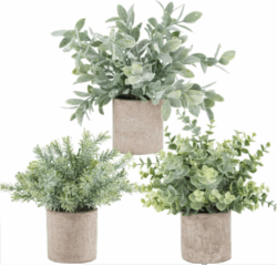 Set de 3 Plantas Artificiales de Eucalipto Decorativas